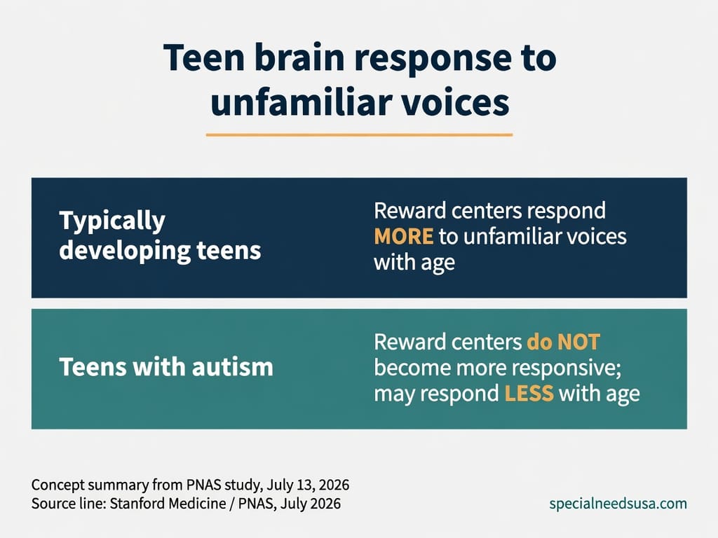 How teen brains respond to unfamiliar voices Comparison chart summarizing the Stanford autism study published July 13, 2026: in typically developing teens, brain reward and salience centers respond more strongly to unfamiliar voices with age; in teens with autism, those centers do not become more responsive to unfamiliar voices and may respond less with age, while tuning in more to a mother's voice.