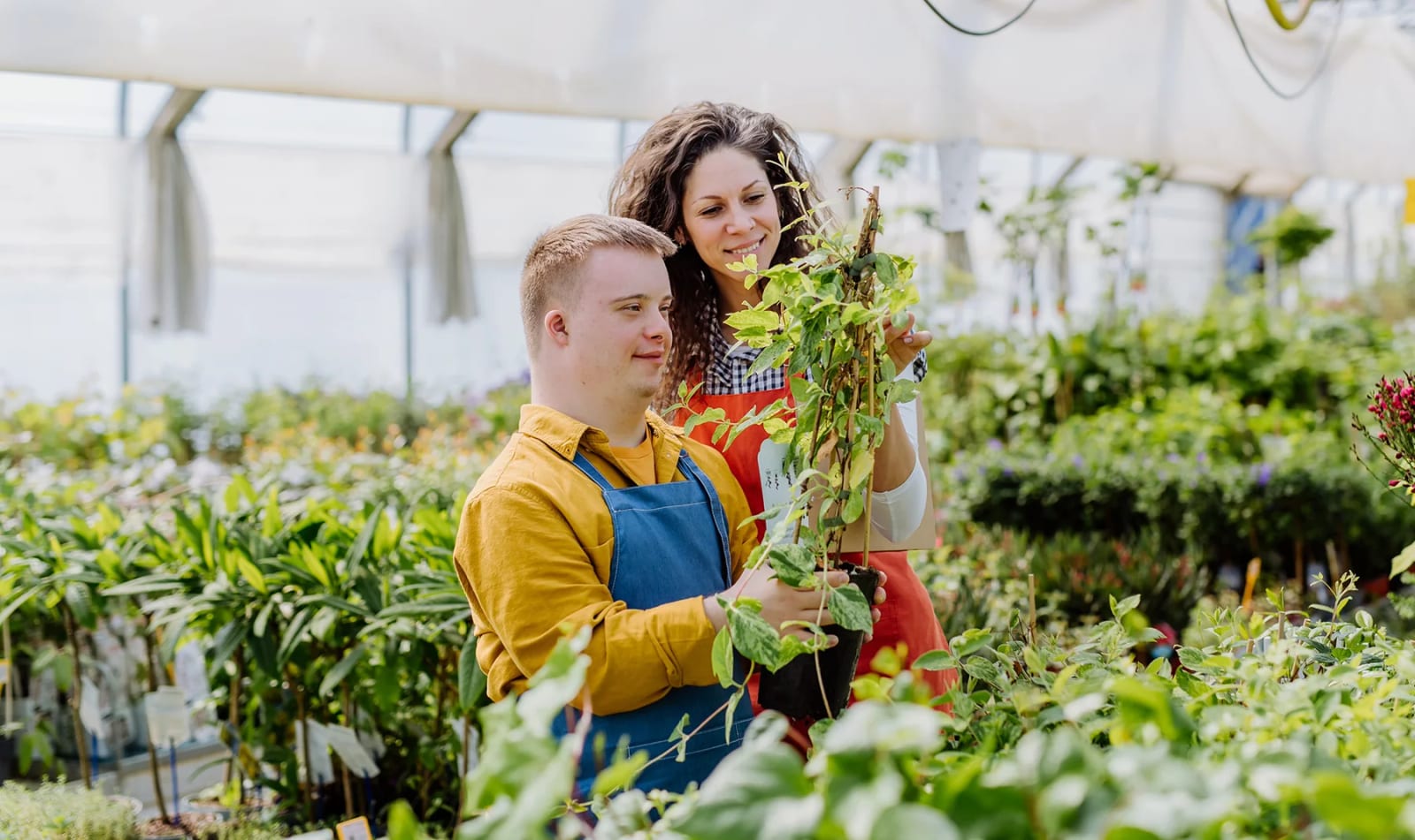 Adult supporting a person with gardening work