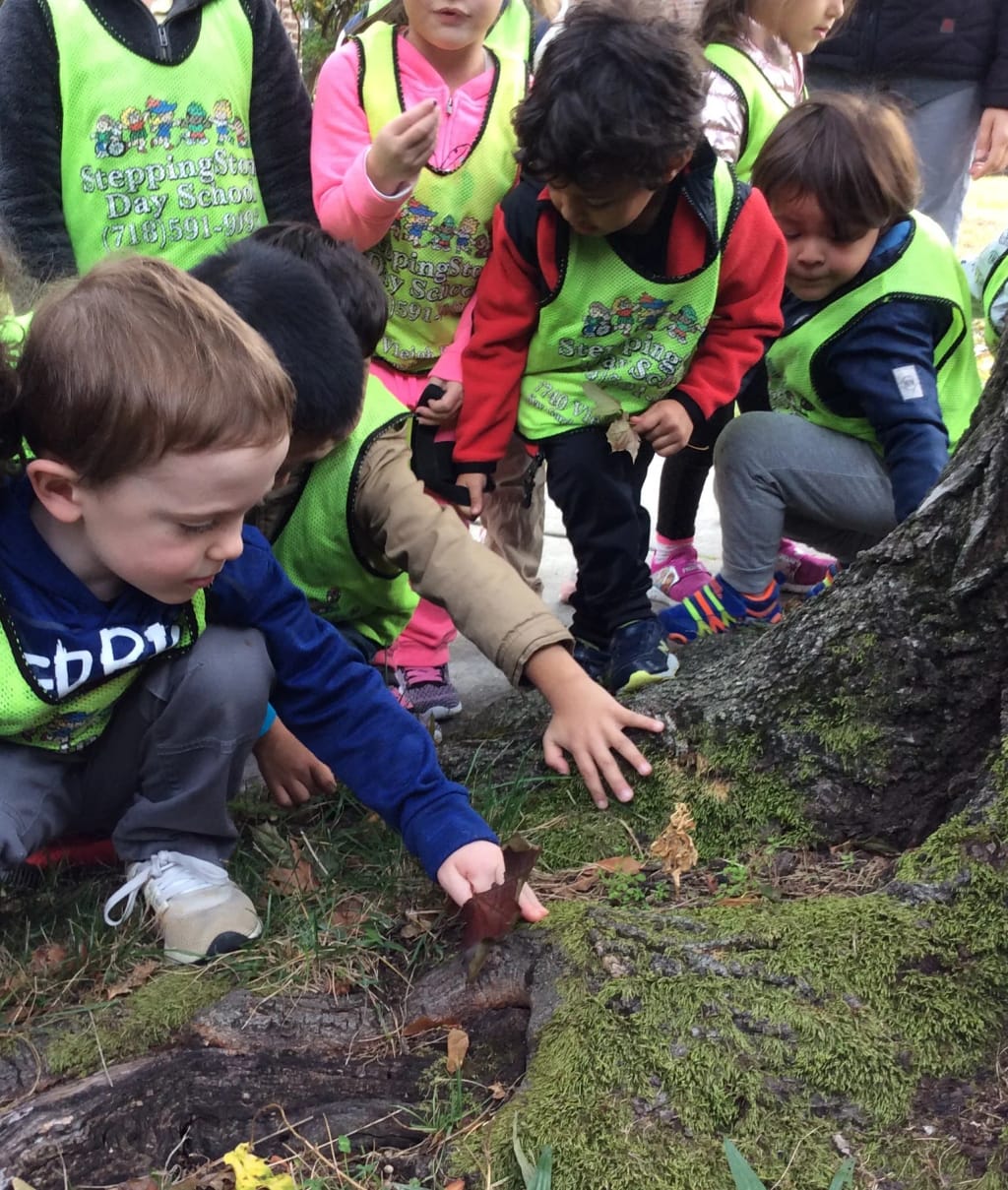 Steppingstone Day School children exploring outdoors
