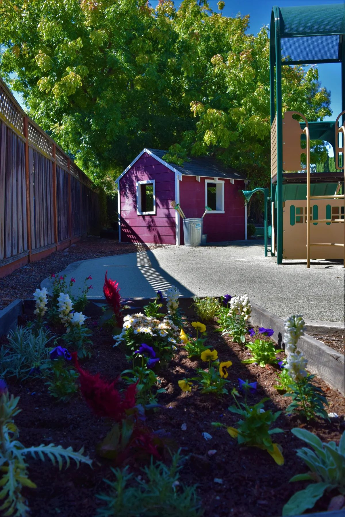 Outdoor play area and garden at Saratoga Parent Nursery School.