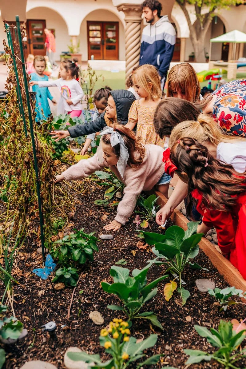 Children exploring a garden activity at Catalina Hills Preschool and Kindergarten in Tucson.