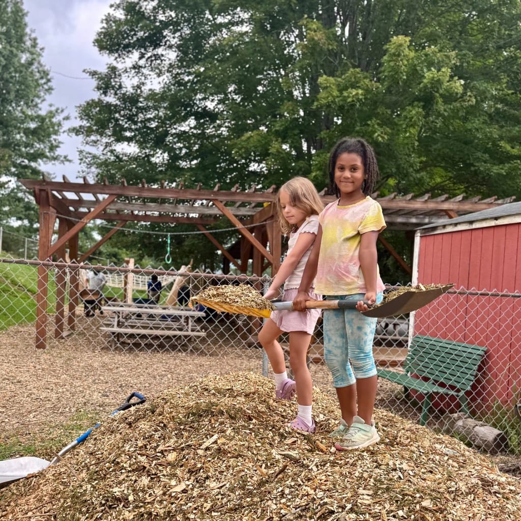 Asheville Waldorf School students visiting the school chicken coop.