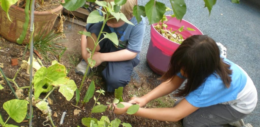 Children tend the garden at Cheerful Helpers Child and Family Study Center