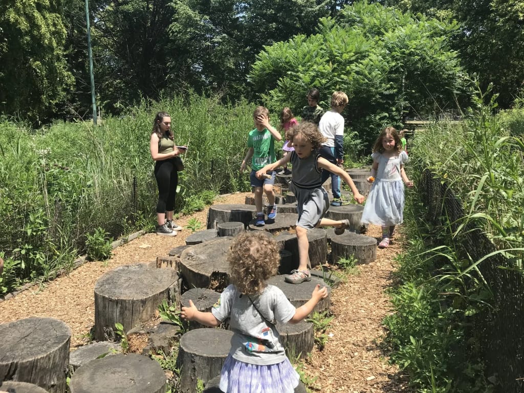 Students enjoying an outdoor school program at Blazing Star School
