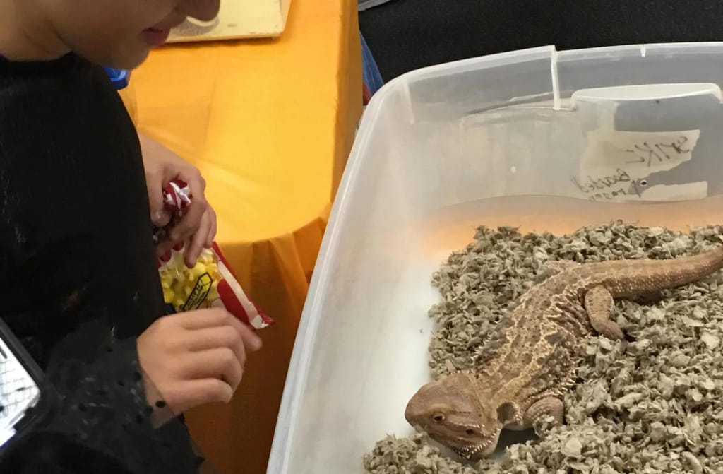 Cecil B. Stowers Elementary School in Cerritos, CA: students engaged in a classroom science activity.