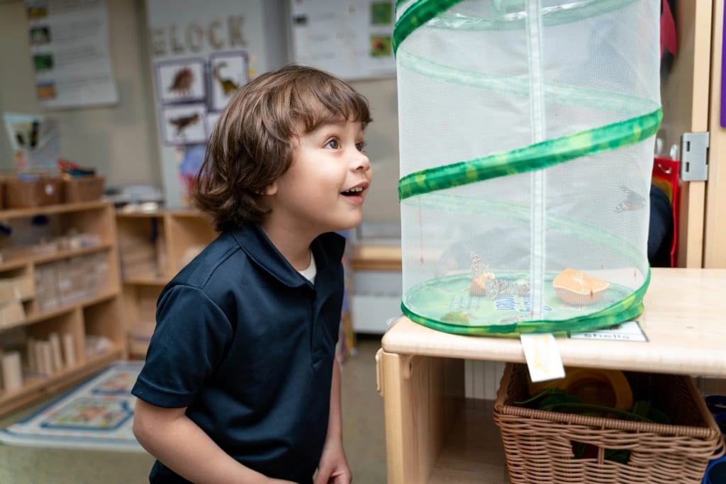 Garden of Learning and Discovery student observing a butterfly habitat