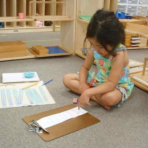 Asheville Montessori School student completing hands-on classroom work.