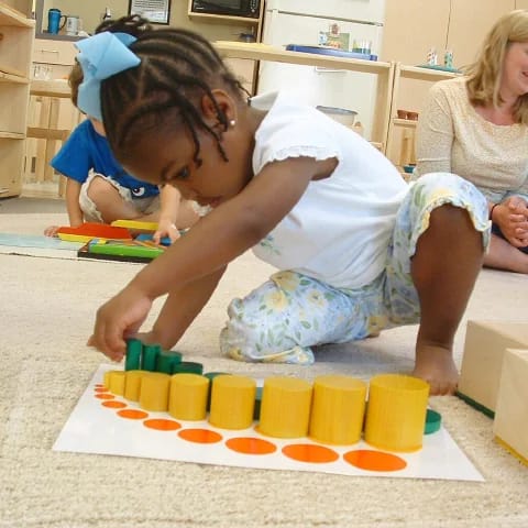 Asheville Montessori School student working with colored cylinder materials.