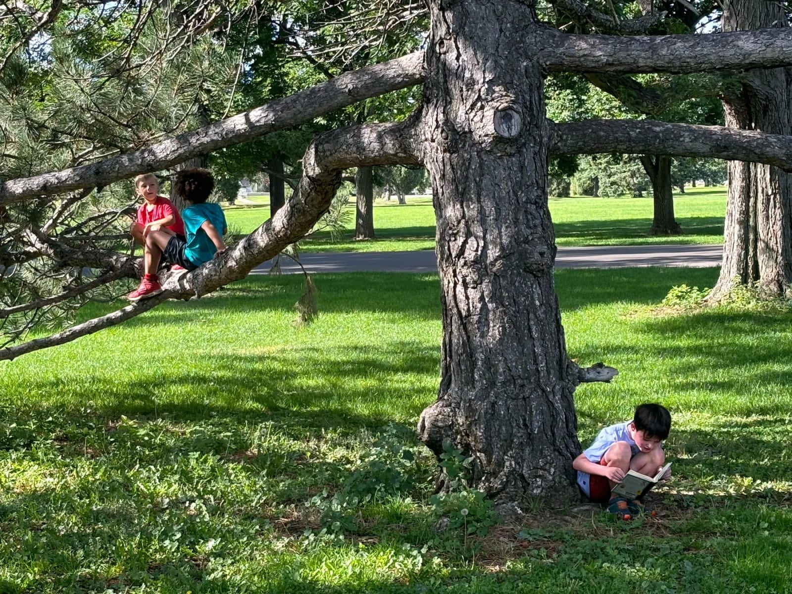 Students exploring a wooded outdoor learning area