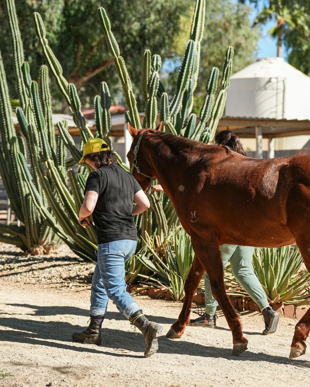 A Gateway Academy student participates in an equine activity in Phoenix