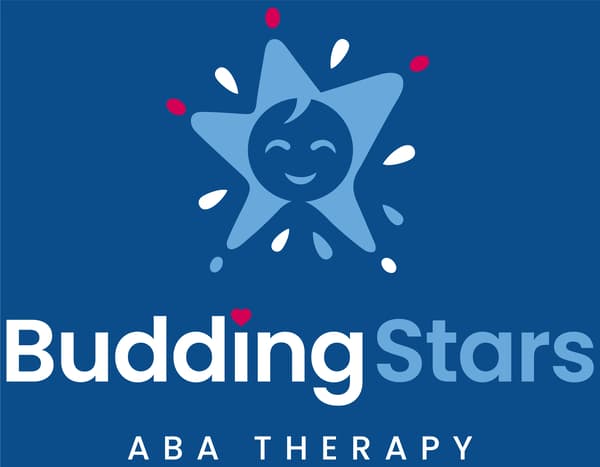 Budding Stars ABA gallery hero