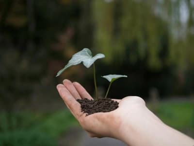 Cultivate Psychology Group
