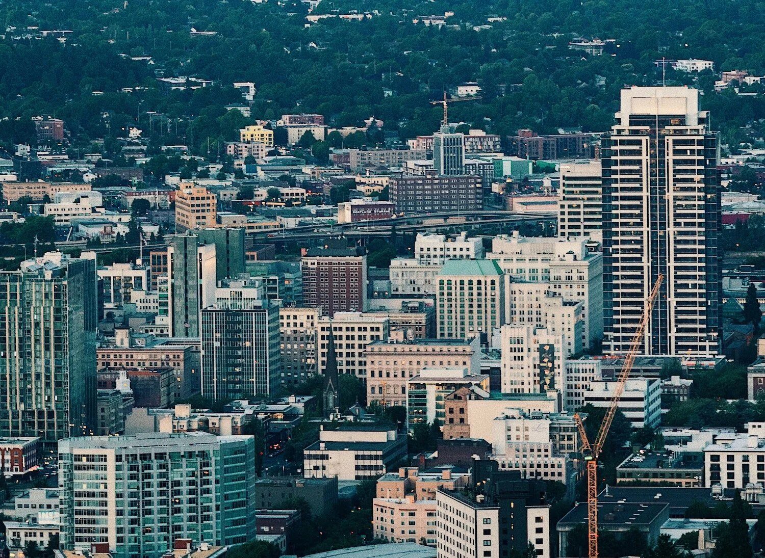 Portland Psychological Assessments