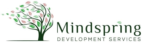 Mindspring Development Services logo