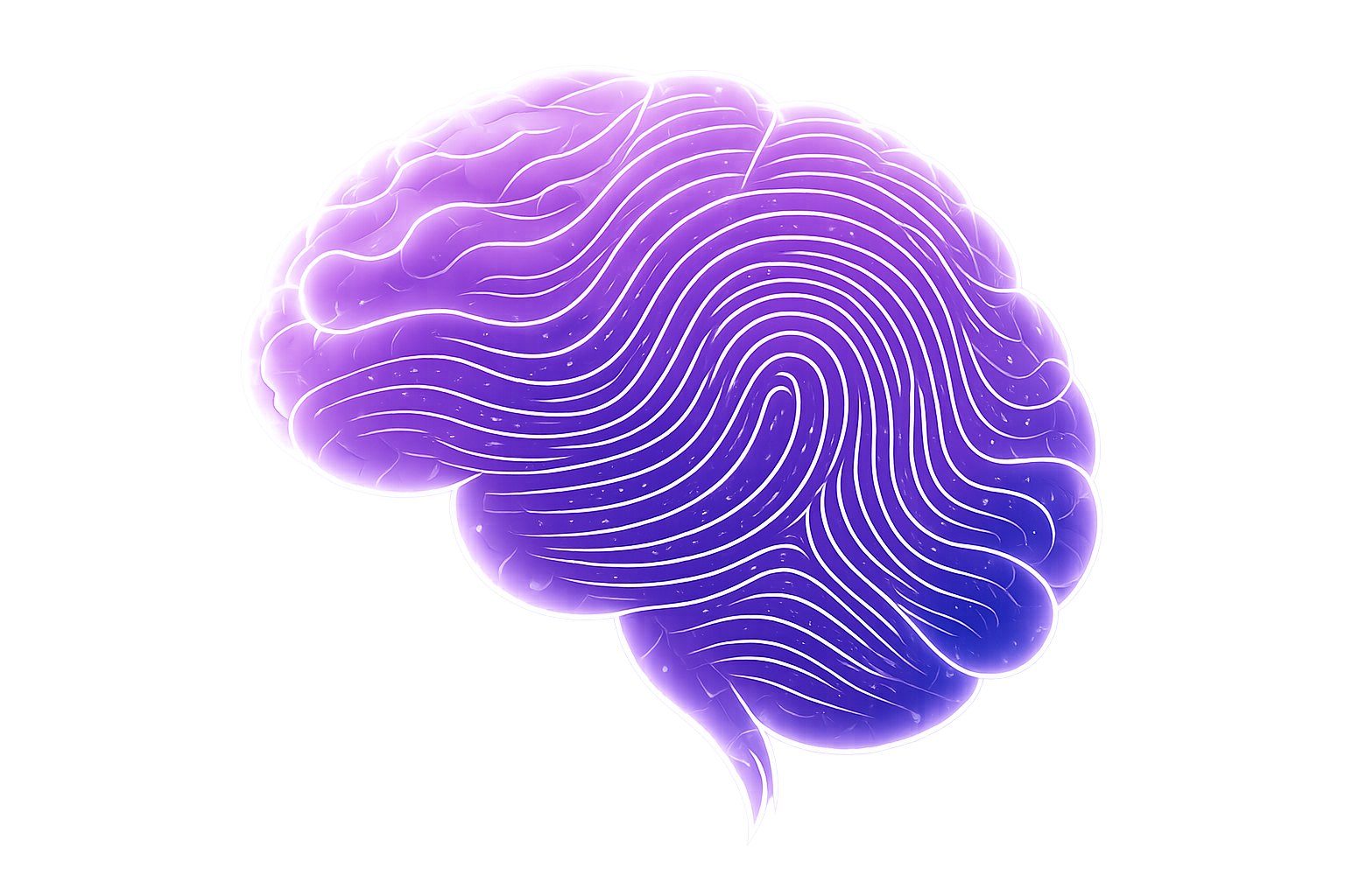 Brain Blueprint graphic