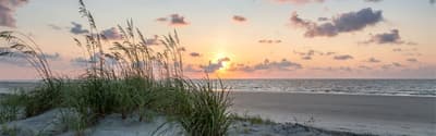 Coastal Neuropsychology Services