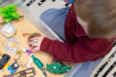 Child and Family Development