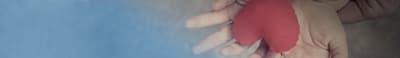 Hands forming a heart