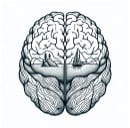 Connect Neuropsychology logo