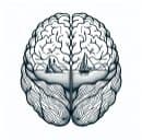 Connect Neuropsychology logo