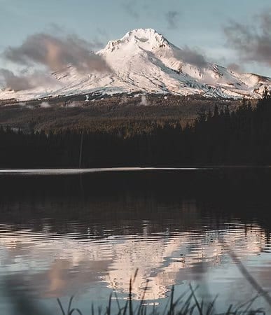 Oregon Autism Evaluations site image