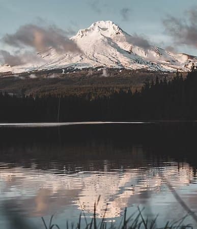 Oregon Autism Evaluations site image