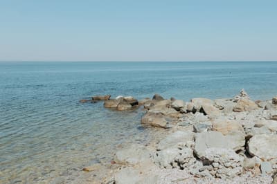 Coast Psychology clinician