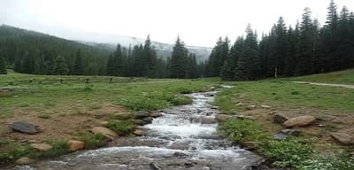 Creek landscape