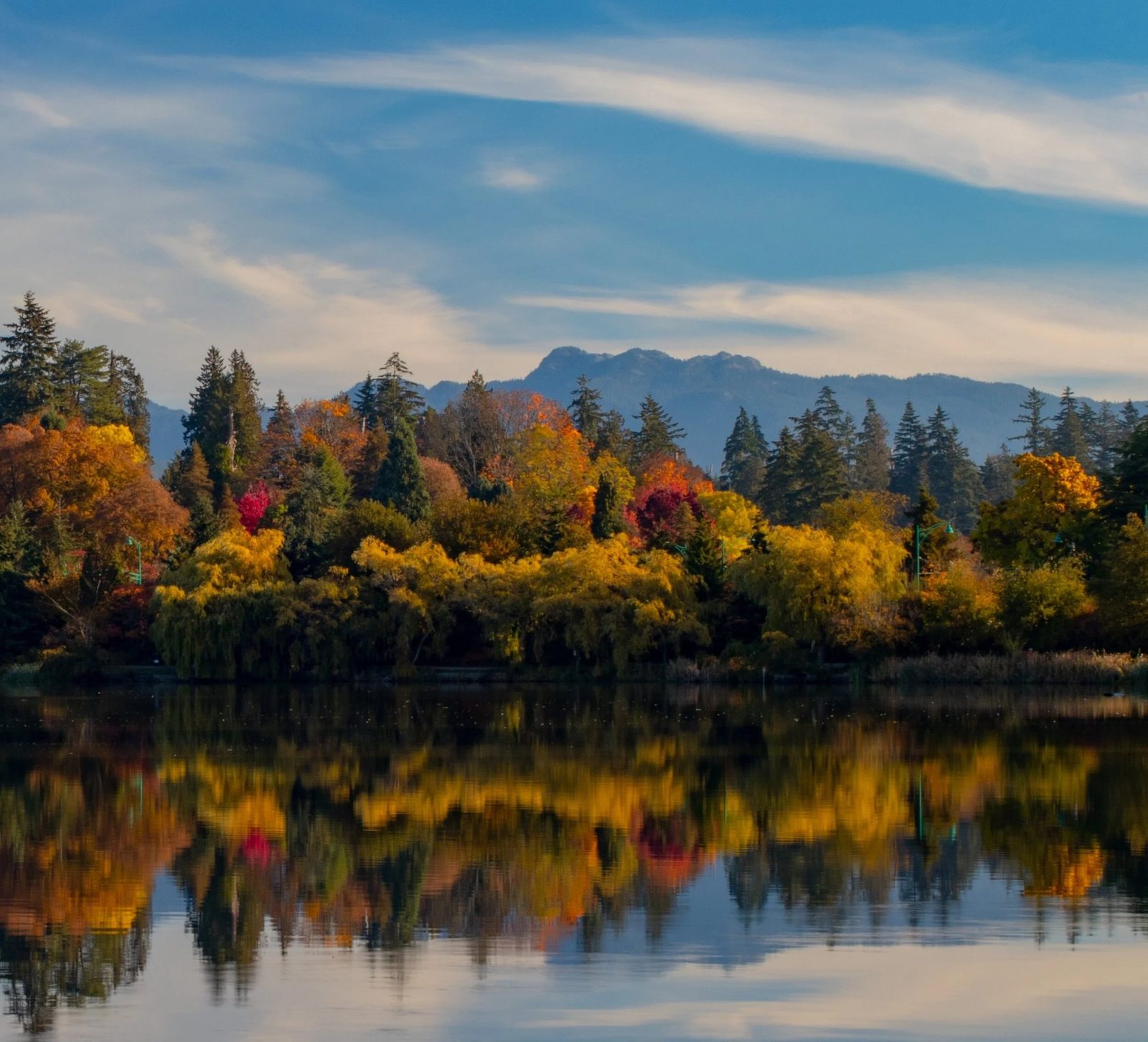 Twin Cities Psychological Testing