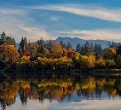 Twin Cities Psychological Testing
